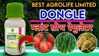 Best Agrolife Dongle  Plant Growth Regulator  फसल के प्रोडक्शन डबल करें [upl. by Eba]