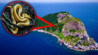 THIS island is full of SNAKES Snake Island [upl. by Morentz]