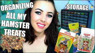 ALL MY HAMSTER TREATS  Organizing my Hamster Treat Collection [upl. by Ettenaej]