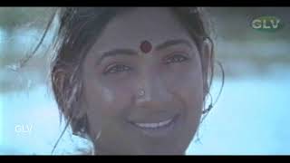 Nadhi Odum Karaiyoram Song  Avarampoo Movie Songs  VineethNandhini  S Janaki  Ilayaraja [upl. by Atnamas]