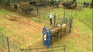 Priefert Small Cattle Working Systems [upl. by Ultun]