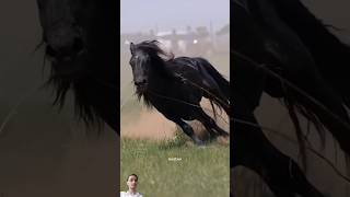 Shave horse hair 😱😱😱 horse horseridinghorselover equestrian facts reaction shortsviralvideo [upl. by Padgett]