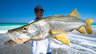 Floridas ILLEGAL FishCatch Clean Cook Snook Mullet Run [upl. by Terencio]