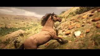 Red Dead Redemption 2  The Wild Horse National Geographic [upl. by Brittney]