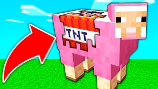 OBEJOS  TNT 🔥🤣  Minecraft [upl. by Camm]