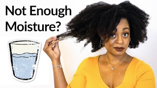 Hair Porosity 101  COMBAT DRY HAIR with Knowledge [upl. by Nary]