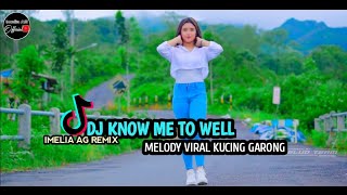 DJ KNOW ME TO WELL MELODY KUCING GARONG [upl. by Innavoeg]