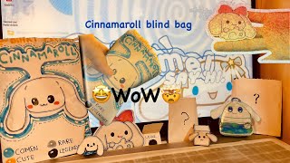 I opened a sanrio cinnamaroll blind bbag [upl. by Chaille769]