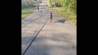 Sunday morning walk to are Park Berryhill skateboard park [upl. by Alenson]