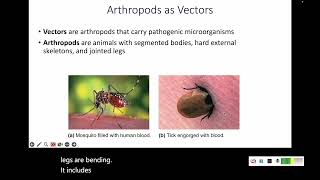 123 Animals Helminths and Vectors [upl. by Torres509]