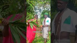 ezenwanyi and OyegonyechaComedy viralvideo [upl. by Glasgo]