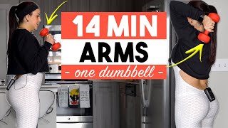 14 Min SINGLE DUMBBELL ARM WORKOUT AT HOME  Toned Arms Workout Workouts with ONE Dumbbell [upl. by Petra]