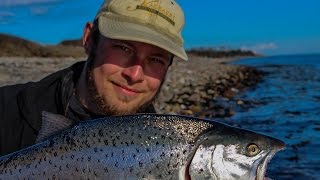 Storørreder på Samsø  DanskeFiskeEventyr havørred havsöring sjøørret meerforellen zeeforel [upl. by Rehtse851]