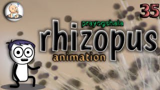 RHIZOPUS STOLONIFER PRACTICALY AND RHIZOPUS ANIMATION IN HINDI [upl. by Loeb]