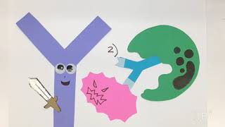 What are antibodies [upl. by Nilra]