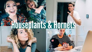 HOUSEPLANTS AND HORNETS  WEEKLY VLOG [upl. by Auqinahc]