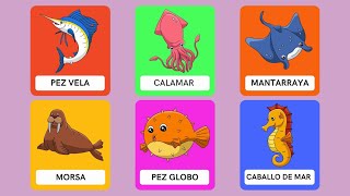 Aprende los Animales Marinos con nuestras tarjetas didácticas 🌊🐠🐳  Aprende con Gael y Owen [upl. by Ttimme]