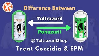 Ponazuril vs Toltrazuril  What is the difference [upl. by Janine]