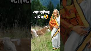 গরু সামনে শেখ হাসিনা কে যা করলো🤣 cow viralvideos tiktok trending goru hamba shorts [upl. by Cousins]