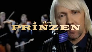 Die Prinzen  Es war nicht alles schlecht Offizielles Musikvideo [upl. by Eselahs]