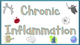 Chronic Inflammation  Causes Morphologic features Mediators Examples amp Clinical manifestations [upl. by Nnaylime]