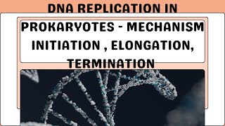 DNA Replication in Prokaryotes  Part 2 Mechanism of Replication Csirnet Gate IIT JAM CUET PG [upl. by Augustus303]