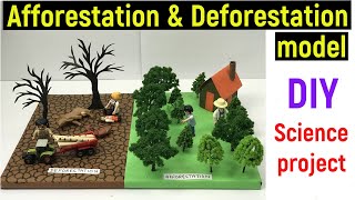 afforestation and deforestation model  science project model  afforestation  deforestation  diy [upl. by Anirual]