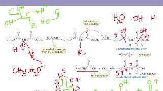 Organic Chemistry II Chapter 17 part 7 Malonic Ester and Acetoacetic Ester Synthesis [upl. by Little]