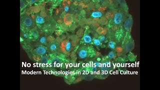 No Stress for Cells and Staff  Modern Technologies in 2D and 3D Cell Culture [upl. by Saundra]