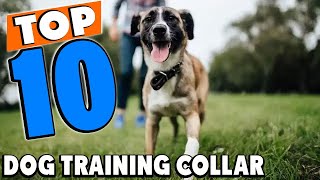 Top 10 Best Dog Training Collars Review In 2024 [upl. by Sparks]