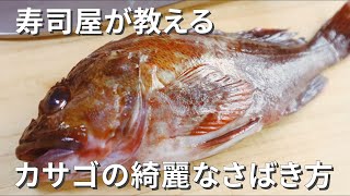 【カサゴの捌き方】寿司職人が教える刺身と寿司の作り方 [upl. by Neelyhtak]