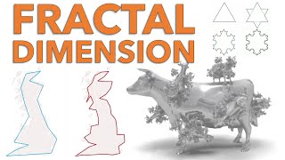 Fractal Dimension  BoxCounting amp Correlation Dimension [upl. by Hanikehs]