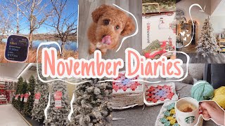 Weihnachtsbaum steht  Christmas Deco shopping  Early morning Runs  Alltag  NOVEMBER Diary VLOG [upl. by Nnylatsyrc]