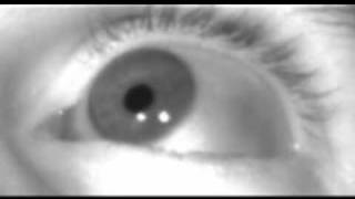 Eye movements  Blink and Saccades at 600 frames per second [upl. by Ernie]