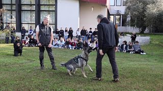 Educazione cinofila alla scuola Robecchi di Vigevano [upl. by Jempty]