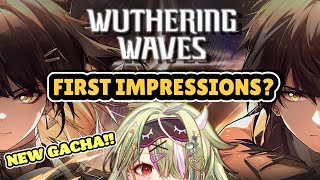 NEW GACHA GAME【Wuthering Waves】 [upl. by Egon]