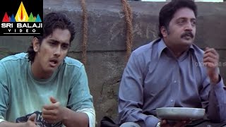 Nuvvostanante Nenoddantana Movie Prakashraj Scene  Siddharth Trisha  Sri Balaji Video [upl. by Nnaerb32]