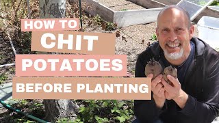 How To Chit Potatoes Before Planting [upl. by Leona]