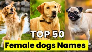 Female Dog Name  Top 50 Male Dog Names  Unique Female Dog Names [upl. by Nehcterg]