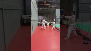 Mawashi geri Karate [upl. by Dud810]