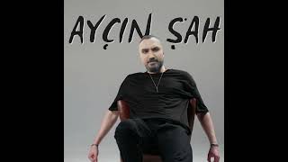 Ayçin Şah Ai Cover  Semicenk  Pişman Değilim [upl. by Geibel790]