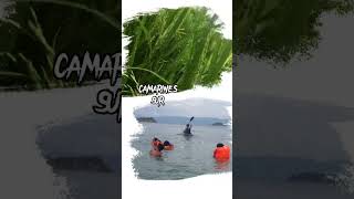 Camarines Sur Bicol Region Plus Caramoan Getaways  KayakingSwimming amp Wind Blowing [upl. by Yreneh]