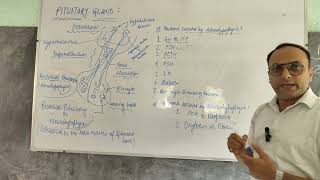 PITUITARY GLAND IN DETAILS PART 1 [upl. by Loring746]