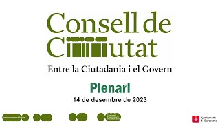 Plenari del Consell de Ciutat [upl. by Assenad]