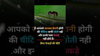 Bina fefde ki chinti knowledgefacts motivation knowledge motivational [upl. by Amikehs]