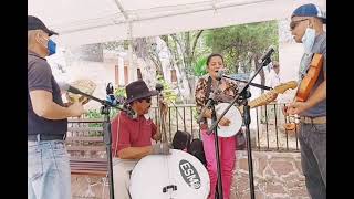 La Panadera  Conjunto De Cuerda Desde Yuscaran [upl. by Aiveneg]