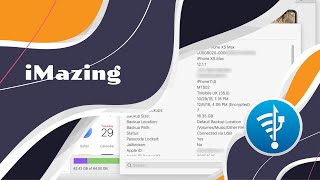 How To Download iMazing  iMazing  Manual iMazing [upl. by Asit462]