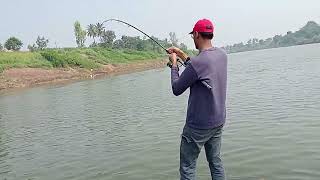 Big monster wallago attu catfish hunting  river monster incredible big pathan fish catching [upl. by Akialam]