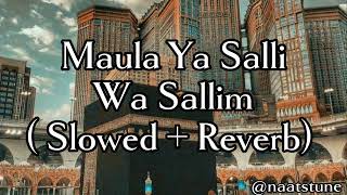 Maula Ya Salli Wa Sallim  slowed amp reverb [upl. by Garvin779]