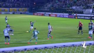 Todos os 62 gols do Palmeiras no Brasileirão 2016 [upl. by Retsel]